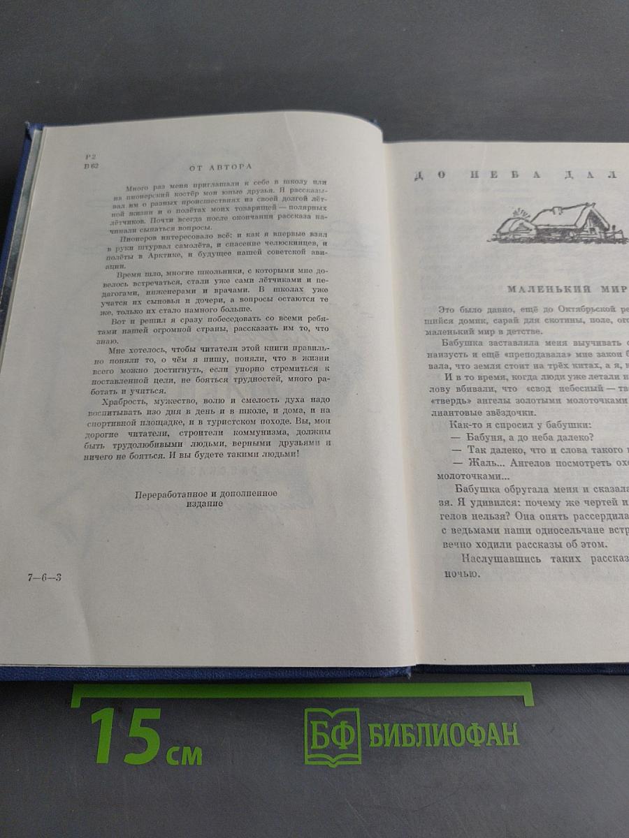 Полярный летчик