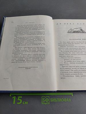 Полярный летчик