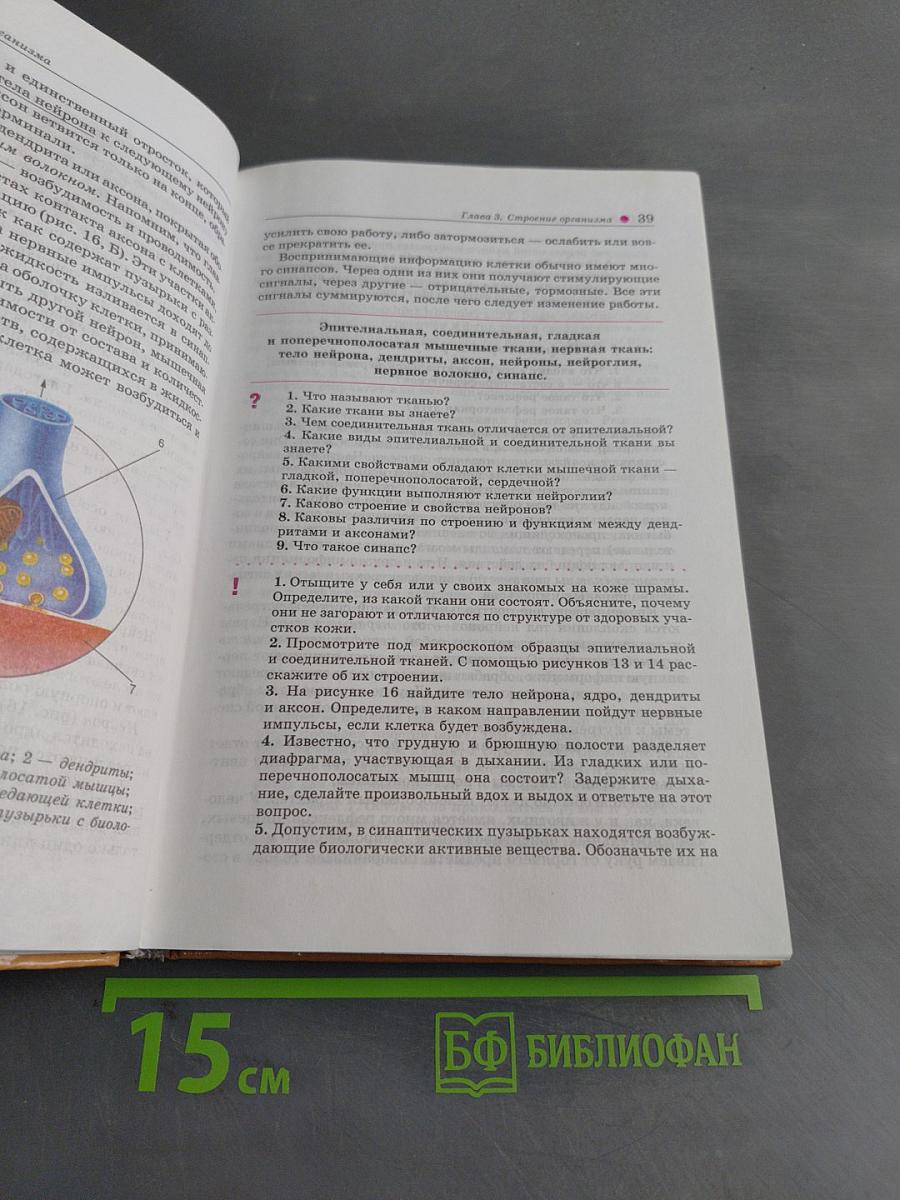 Биология. Человек. Учебник для 8 класса общеобразовательных учреждений