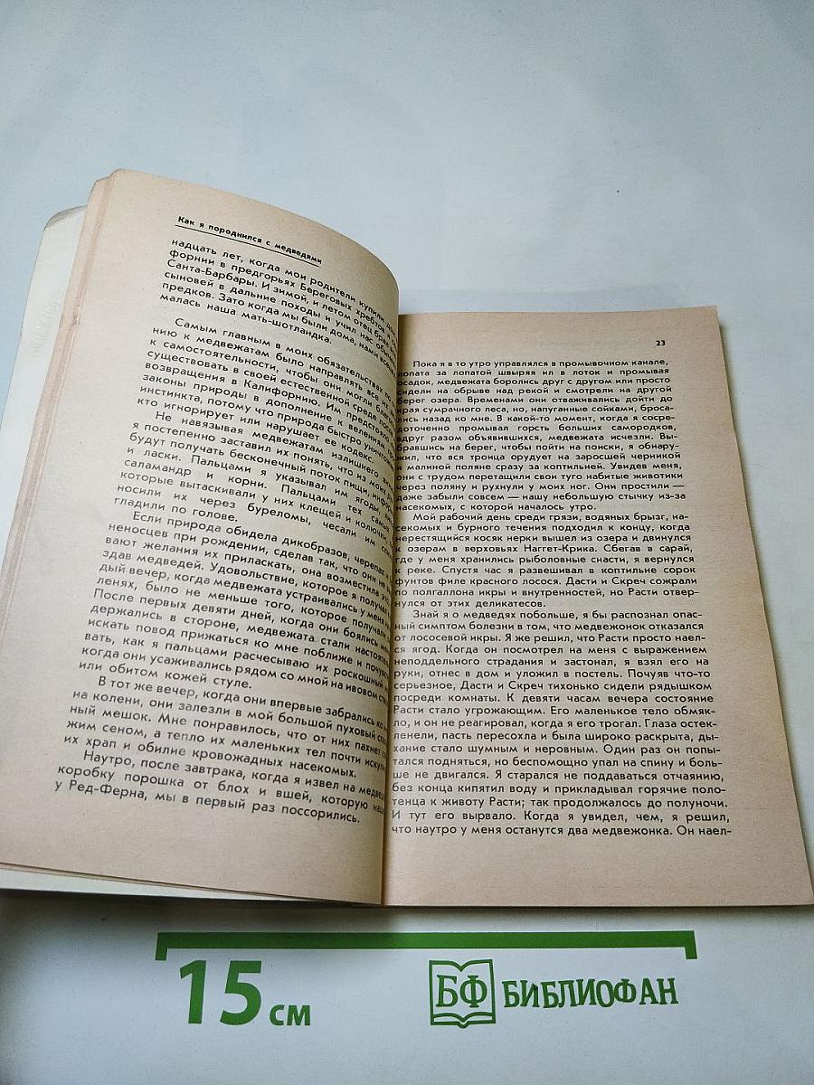 Медведи и я