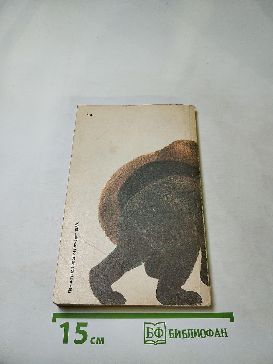 Медведи и я