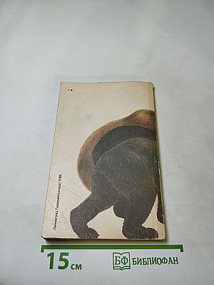 Медведи и я