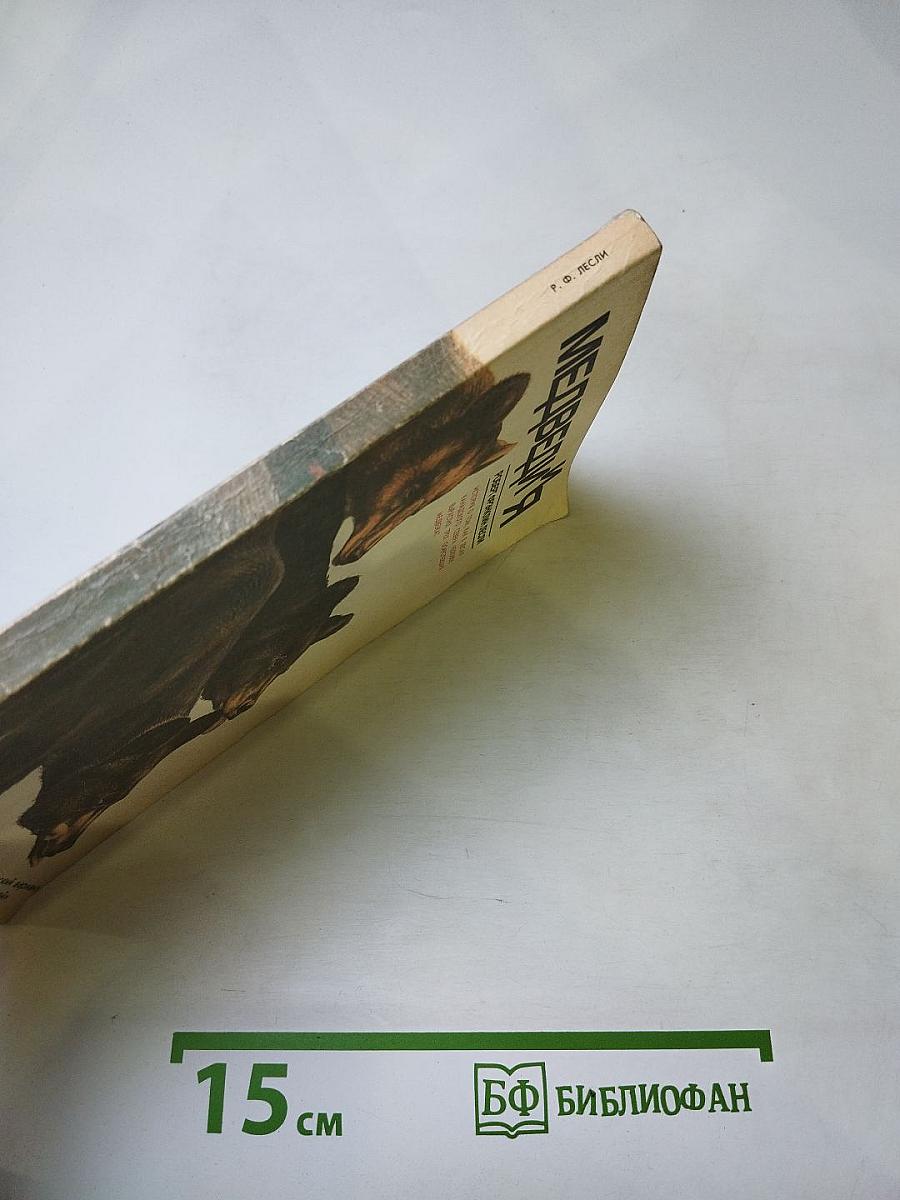 Медведи и я