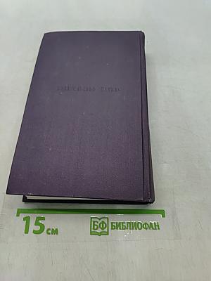 Сочинения. Том пятый. Повести и рассказы 1853-1857 годов. Рудин. Статьи и воспоминания 1855-1859