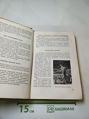Солнце и его семья