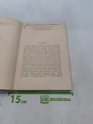 История одного города