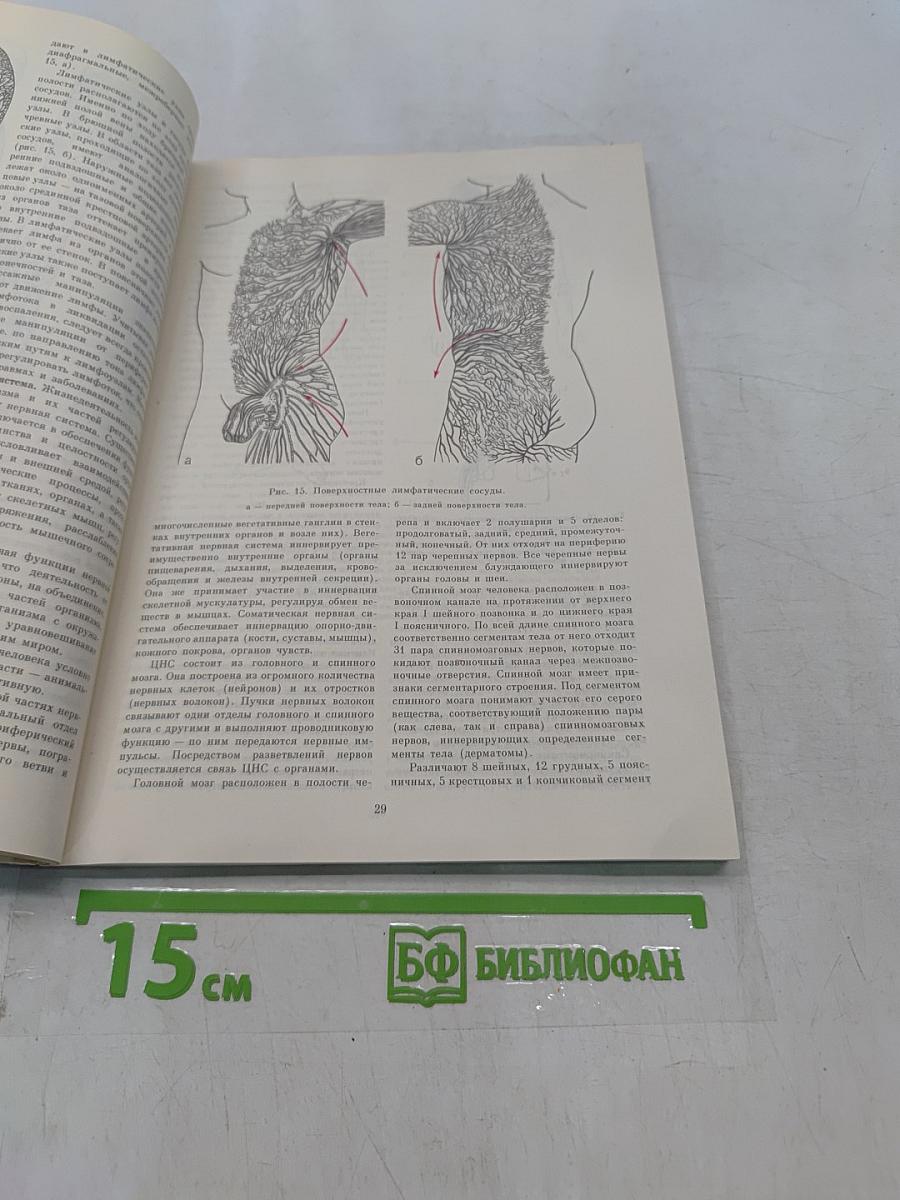 Справочник по массажу