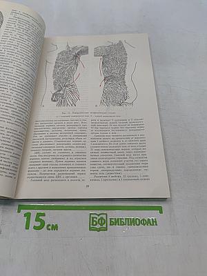 Справочник по массажу