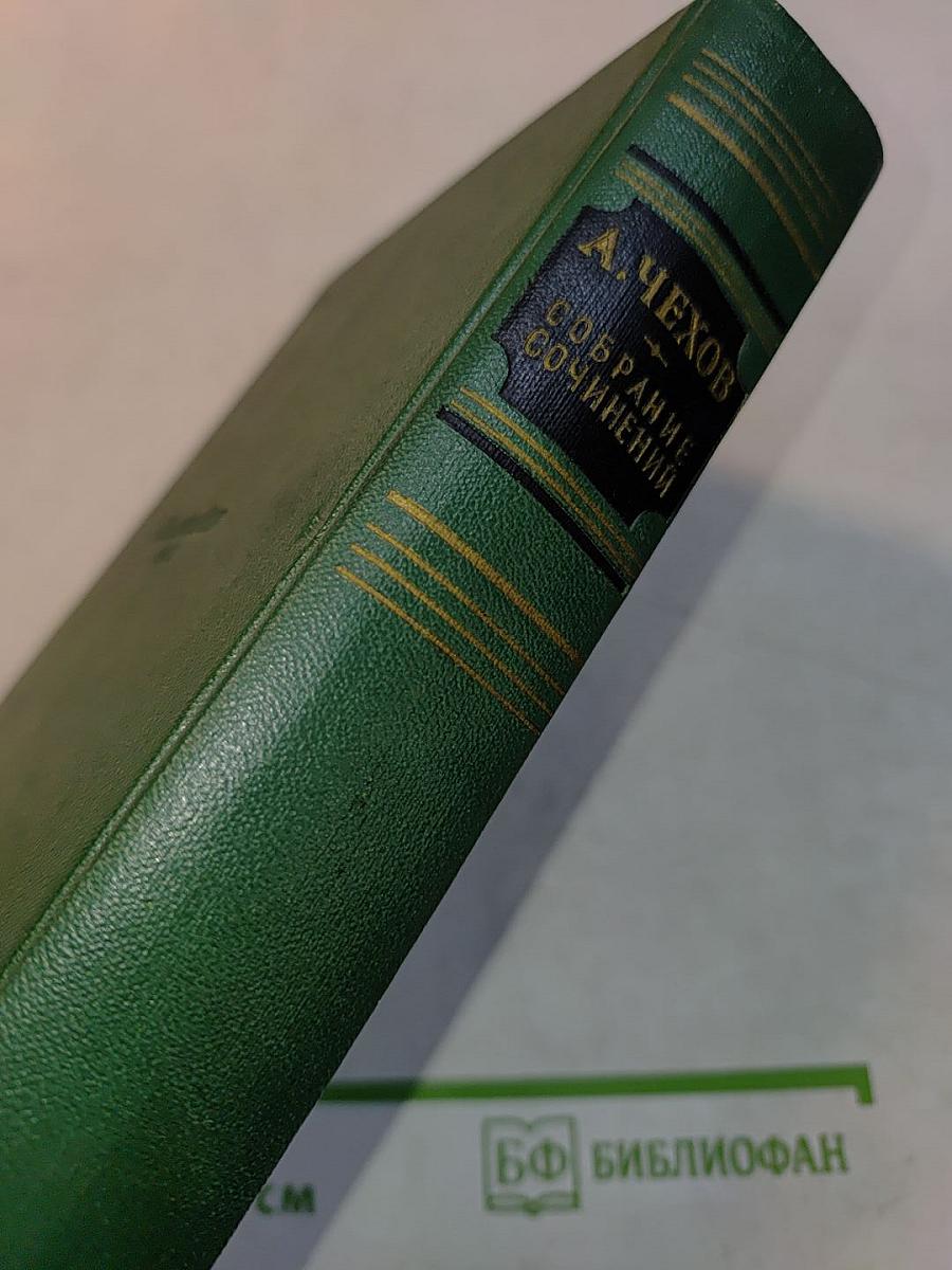 Собрание сочинений. Том пятый. Рассказы 1887