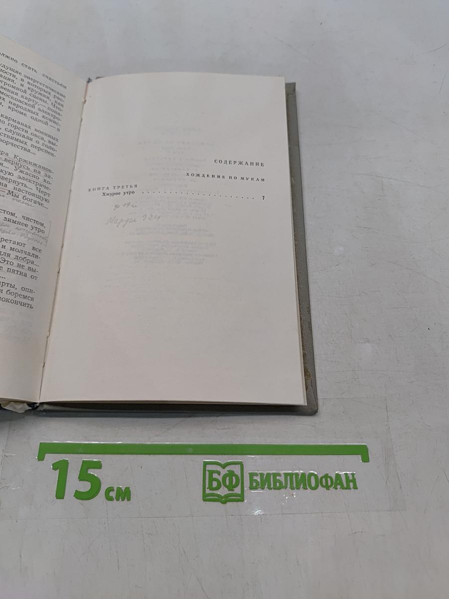 Хождение по мукам. Книга третья. Хмурое утро