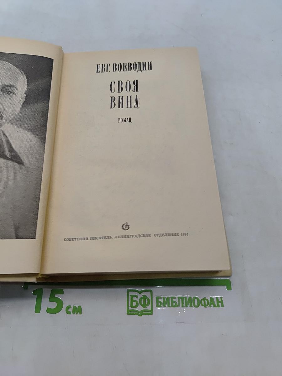 Своя вина