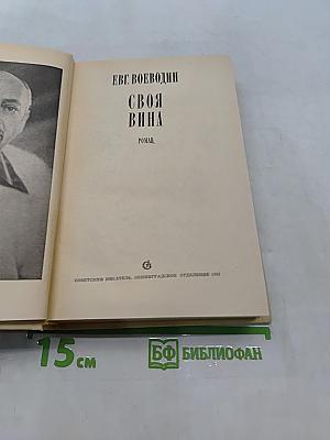 Своя вина