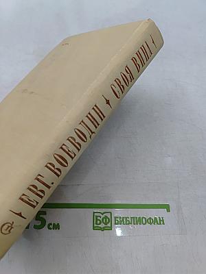 Своя вина