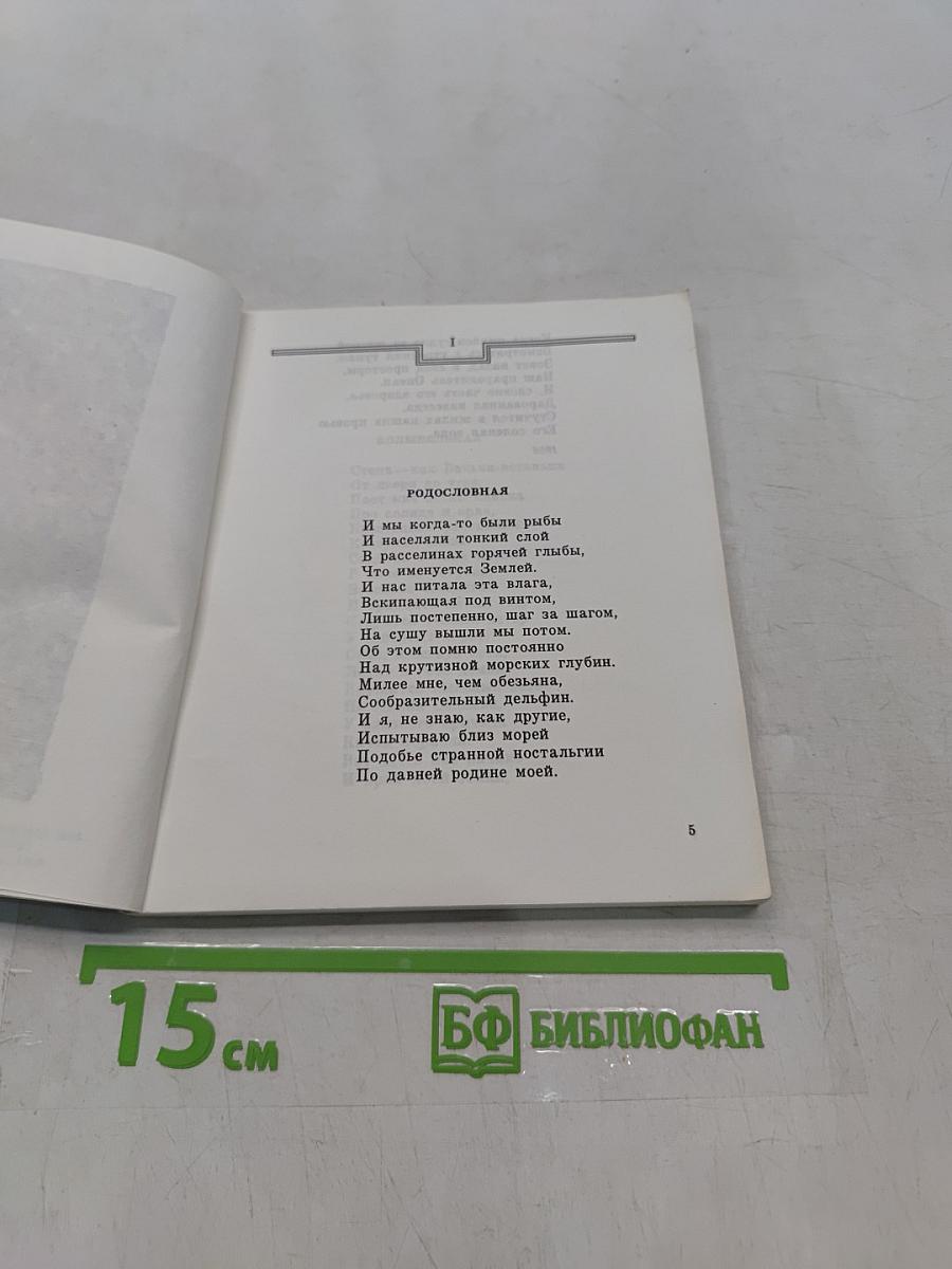 Созвездие Рыбы