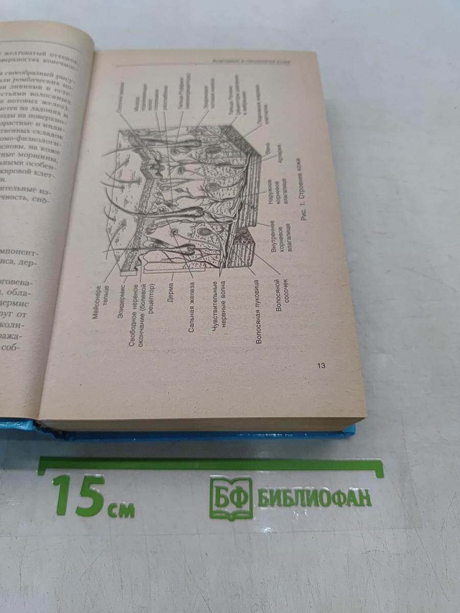 Косметология. Новейший справочник