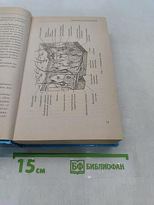 Косметология. Новейший справочник