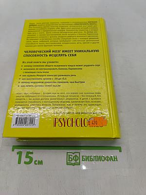Мозг, исцеляющий себя