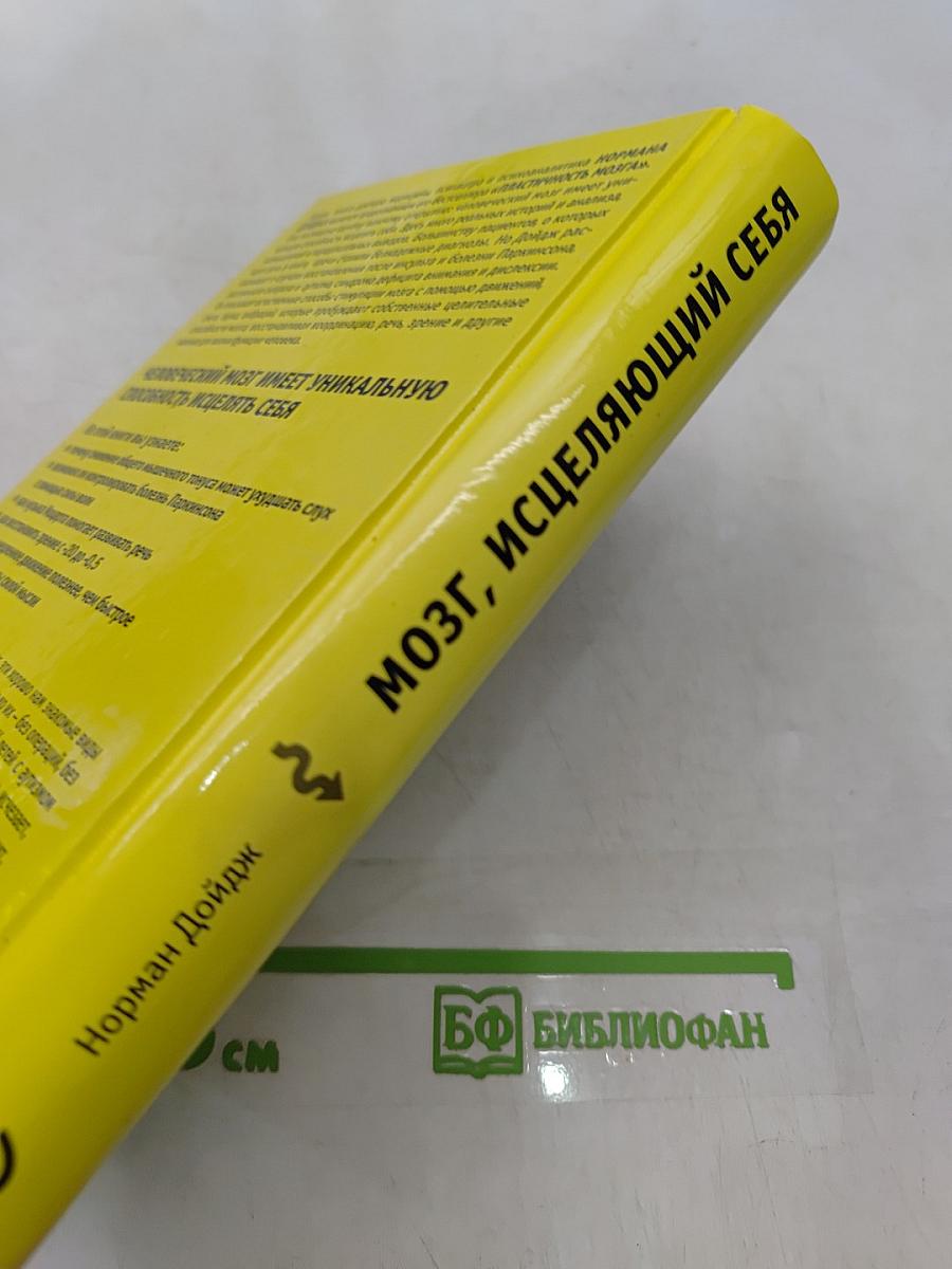 Мозг, исцеляющий себя