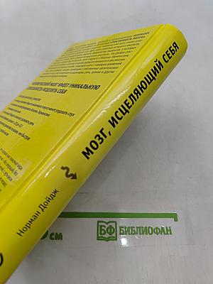Мозг, исцеляющий себя