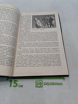 Чудесное окно