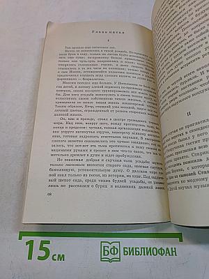 Слепой музыкант