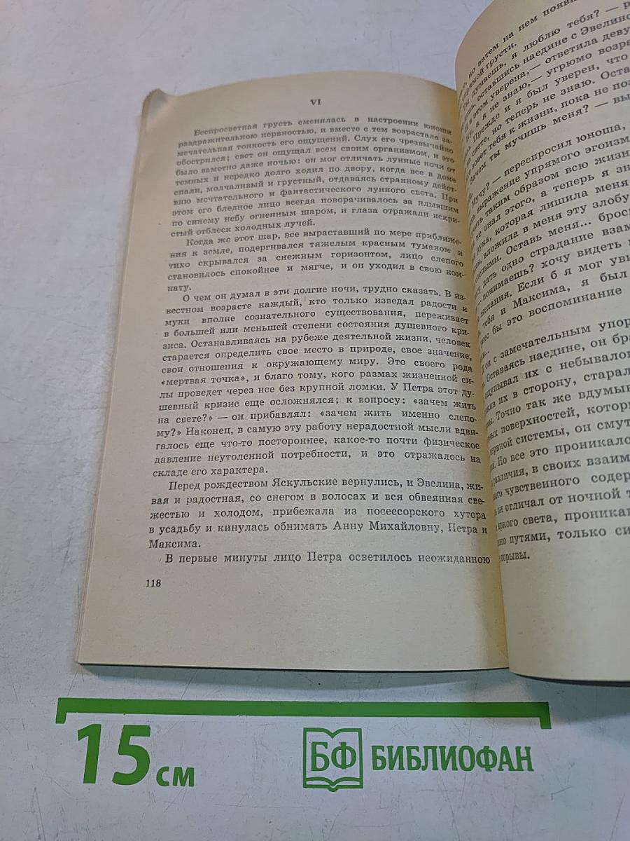 Слепой музыкант