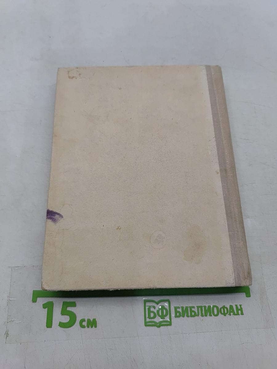 Школа. Тимур и его команда