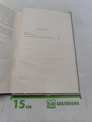 Собрание сочинений. Том второй. Рудин. Дворянское гнездо