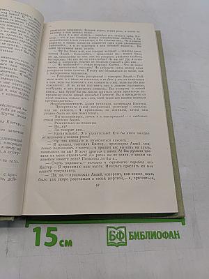 Собрание сочинений. Том пятый. Повести и рассказы 1844-1853