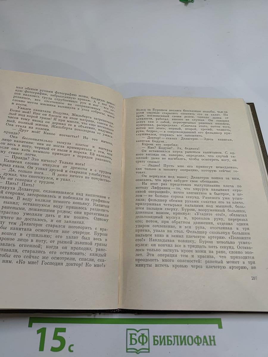 Собрание сочинений. Том пятнадцатый. Ругон-Маккары. Разгром