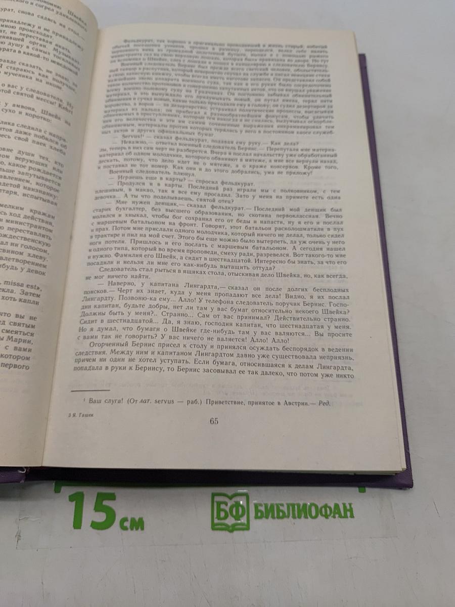 Похождения бравого солдата Швейка