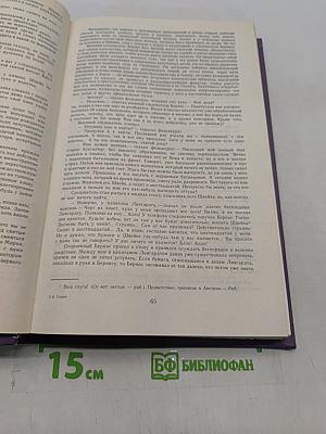 Похождения бравого солдата Швейка