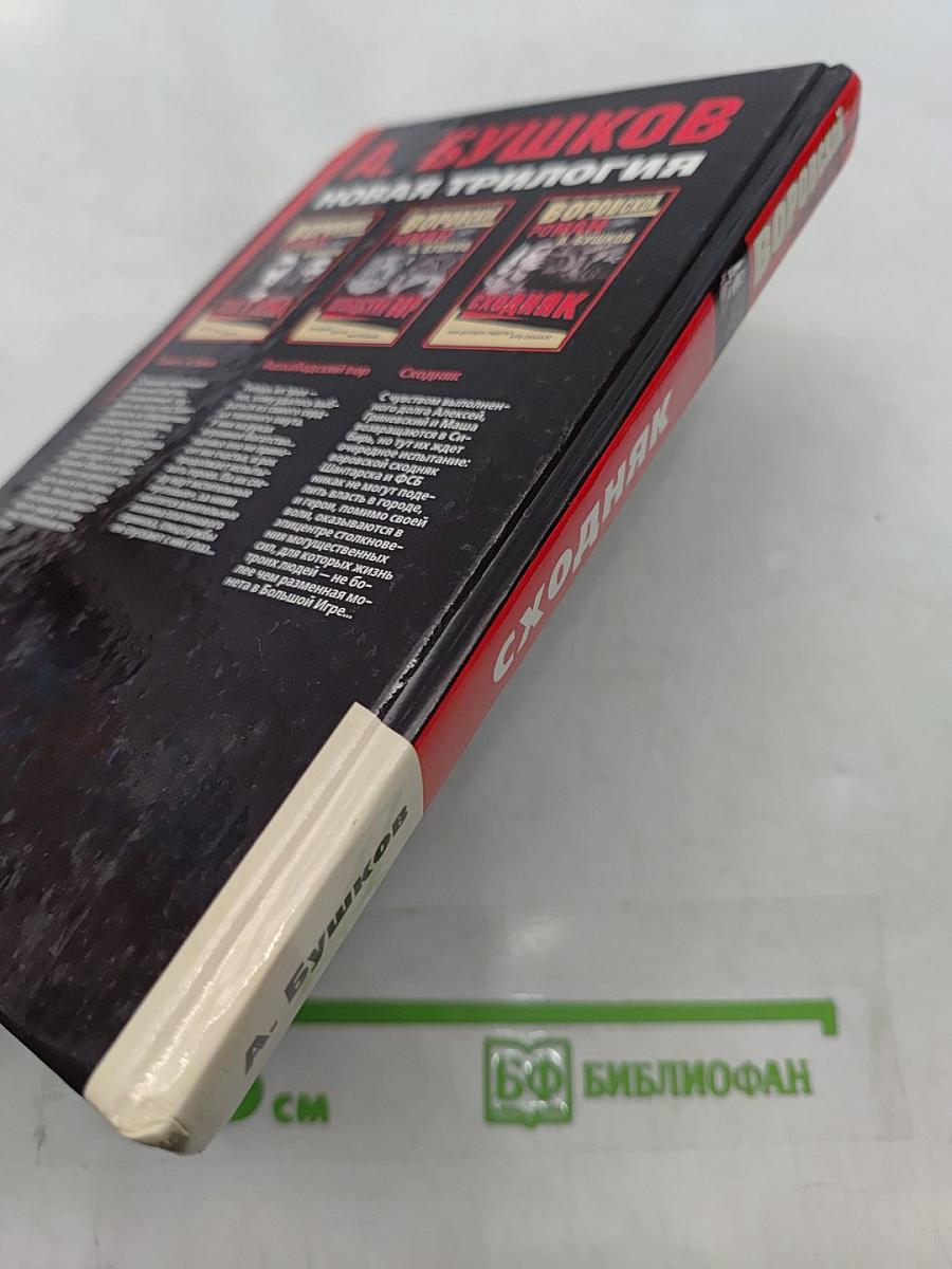 Воровской роман. Сходняк