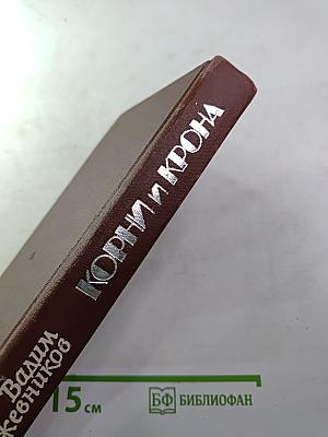 Корни и крона