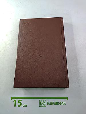 Корни и крона