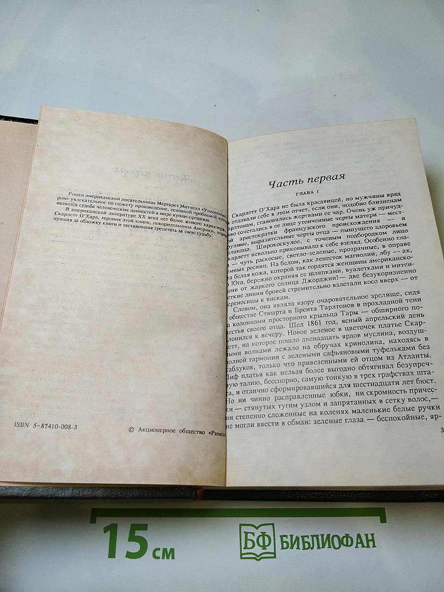 Унесенные ветром. Том 1