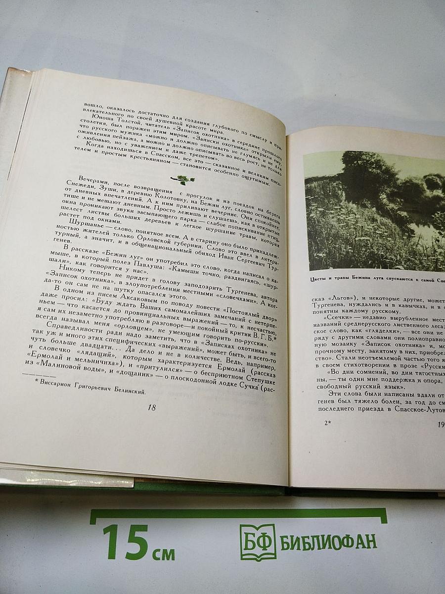 Середина столетия