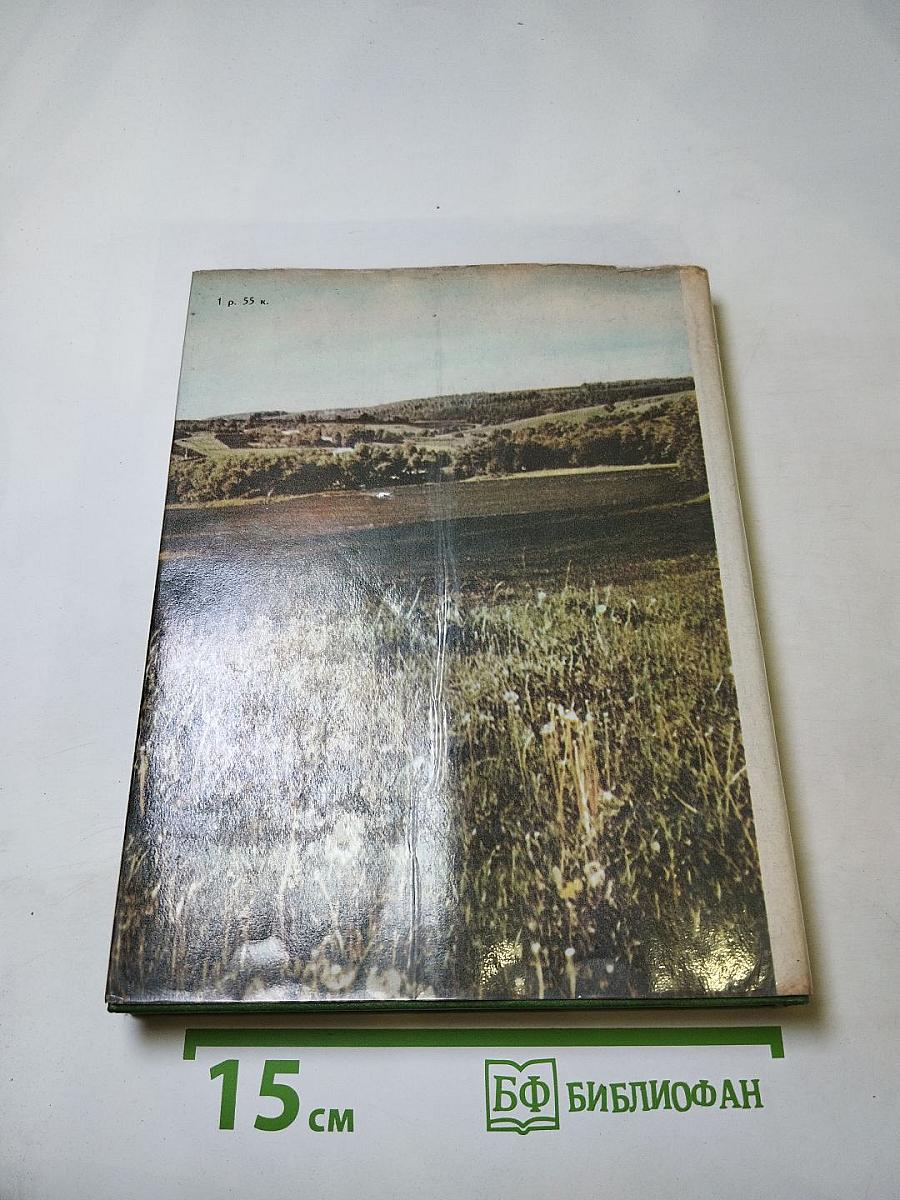 Середина столетия