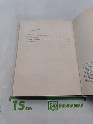 Портрет с дождем. Пьесы