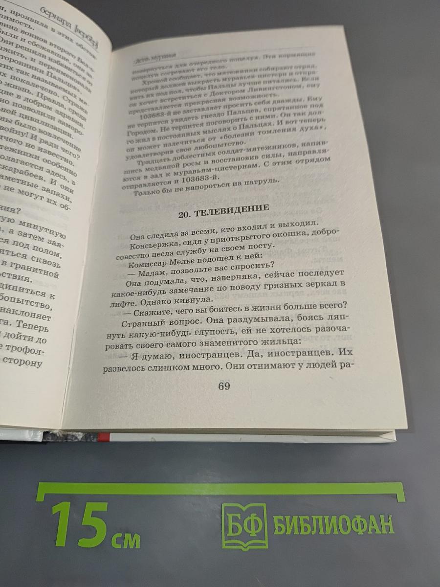 День муравья