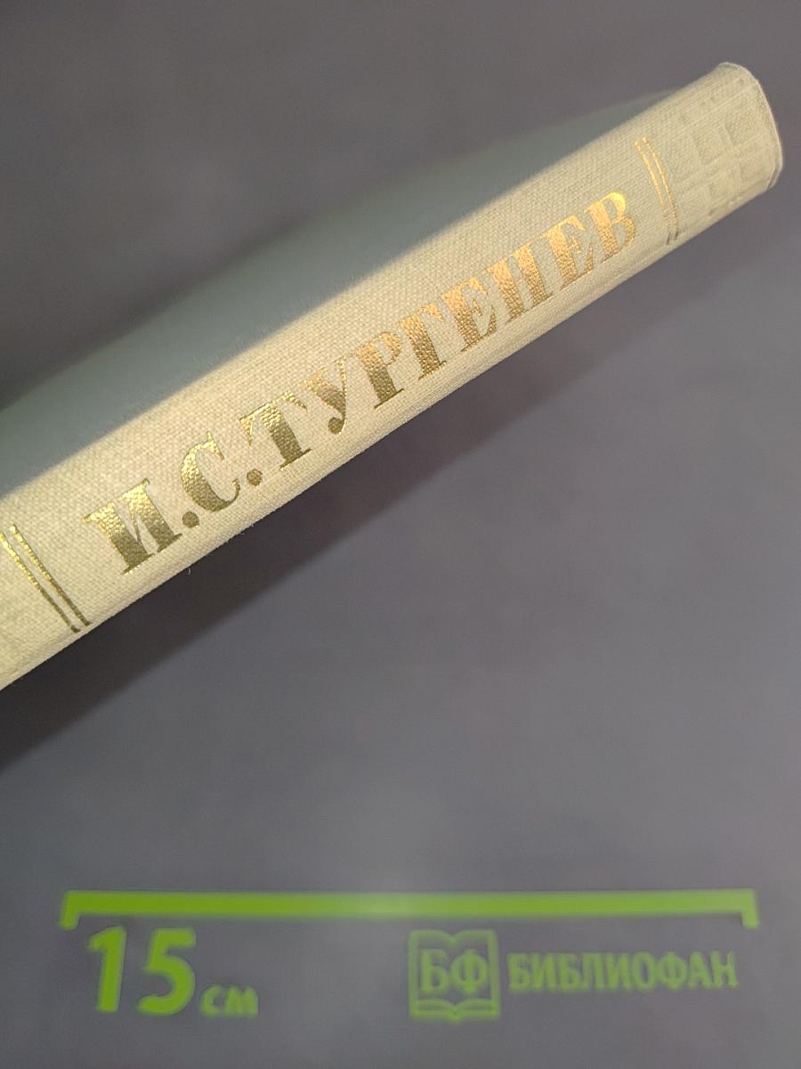 Собрание сочинений. Том 6. Повести и рассказы 1854-1860