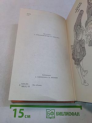 Виконт де Бражелон, или Десять лет спустя. Части 3, 4