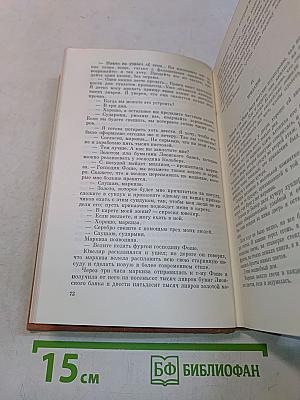 Виконт де Бражелон, или Десять лет спустя. Части 3, 4