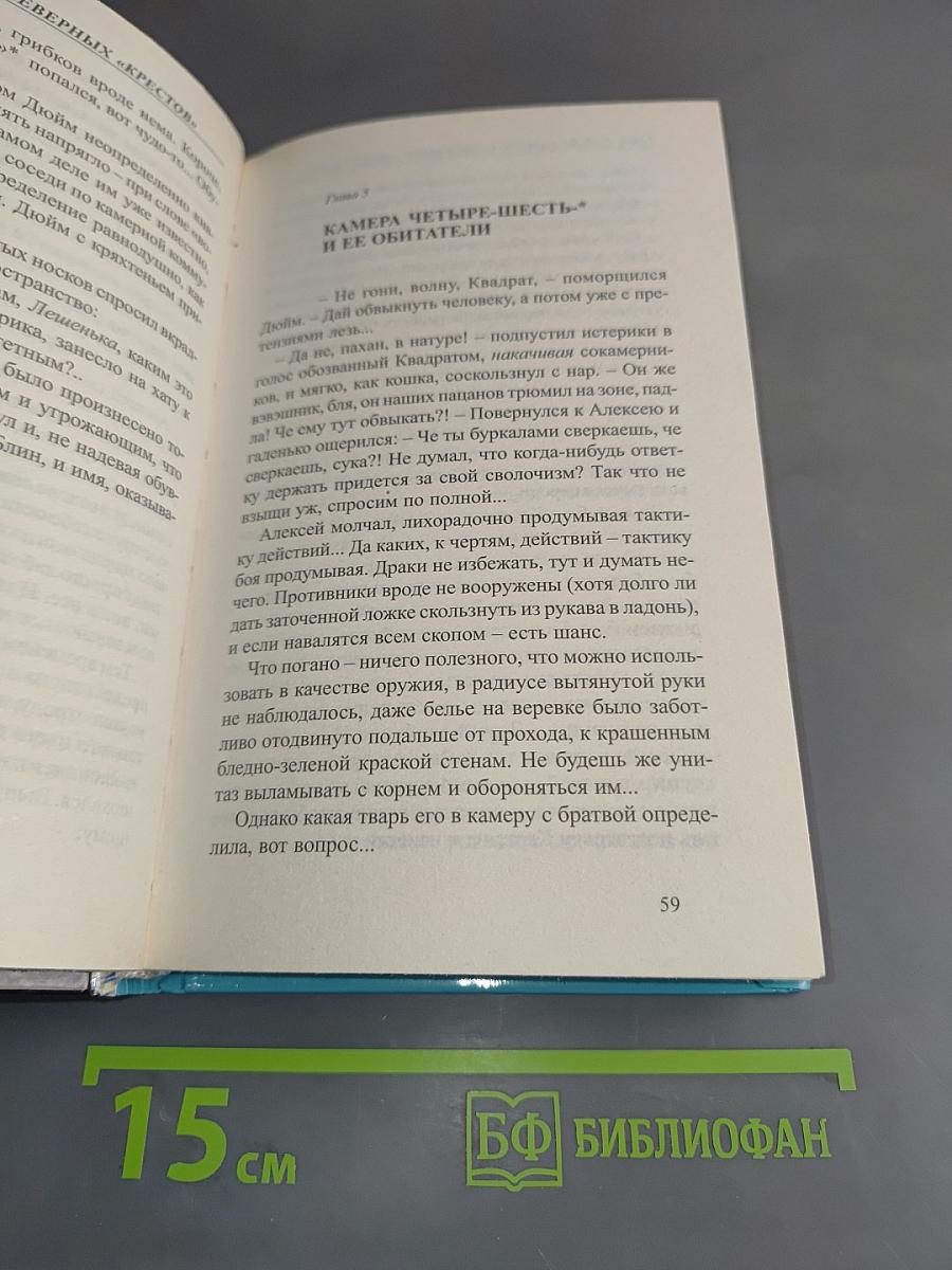 Под созвездием Северных «Крестов»