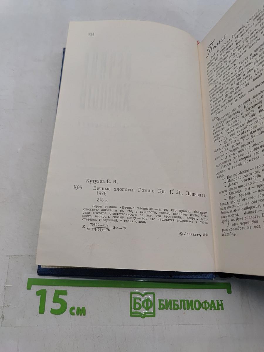 Вечные хлопоты. Роман. Книга первая