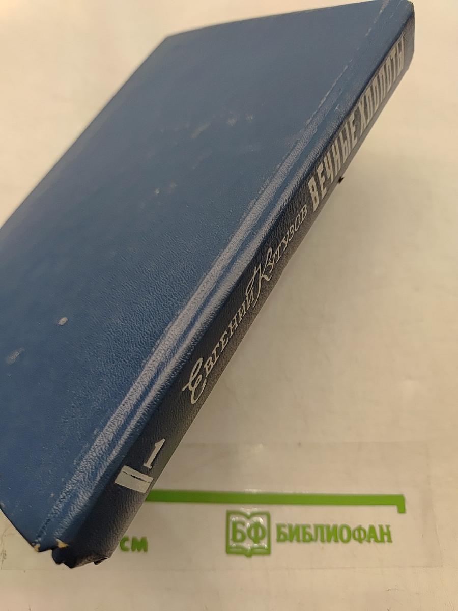 Вечные хлопоты. Роман. Книга первая