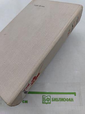 Виконт де Бражелон, или Десять лет спустя. Части 3, 4
