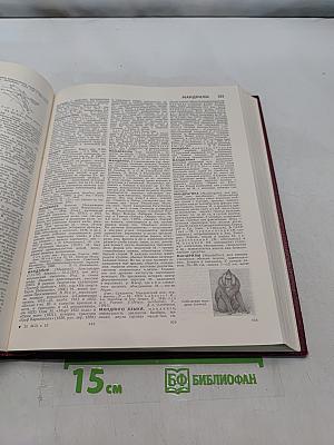 Большая Советская Энциклопедия. Том 15. Ломбард — Мезитол