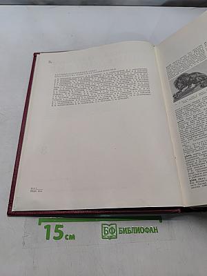 Большая Советская Энциклопедия. Том 3. Бари – Браслет