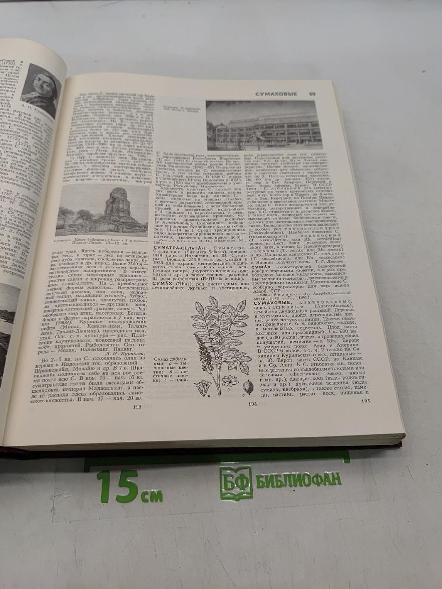 Большая Советская Энциклопедия. Том 25. Струнино — Тихорецк